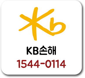 KB손해보험 9