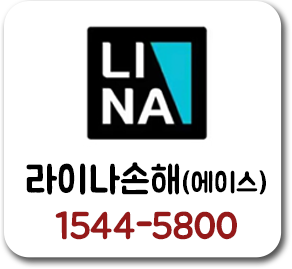라이나손해보험 10