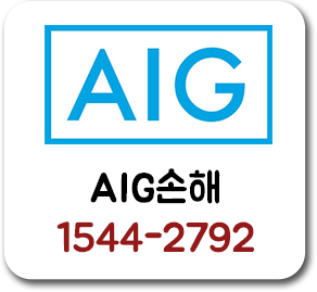 AIG손해보험 13